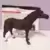 Horse Club - jument MARBACH