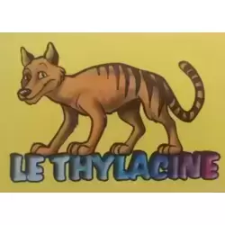 Le Thylacine