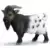Bouc Nain