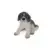 Chien