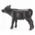 Veau Angus