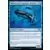 Baleine aux nageoires d'acier