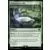 Clairvoyance elfe