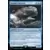 Baleine colossale