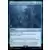 Lord of the Rings : Commander Decks - Faveur de l\'accordeur de souhaits