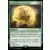 Lord of the Rings : Commander Decks - Intervention héroïque