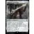 Lord of the Rings : Commander Decks - Lame de Lothlórien