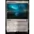 Lord of the Rings : Commander Decks - Landes érodées