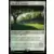 Lord of the Rings : Commander Decks - Vue de la canopée
