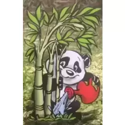 Depuis 1974 , les forêts de bambous où vivent les Pandas ont pratiquement diminué de moitié à cause de la déforestation .