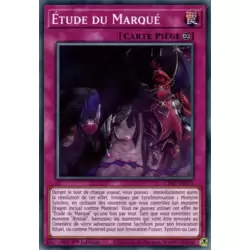 Étude du Marqué