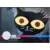 Limited Run Cards Série 3 - Night in the Woods
