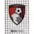 Club Badge