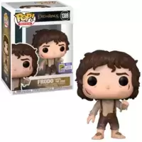 Lord Of The Rings - Frodo with The Ring