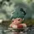 Hirono Little Mischief - Float