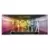 Rainbow High - Rainbow Junior High Walmart Exclusive Fashion Doll Set