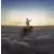 The Endless River