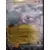 Cartes Promo Ecarlate et Violet - SVPfr - Courrousinge EX