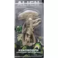 Alien - Xenomorph Translucent Prototype Suit