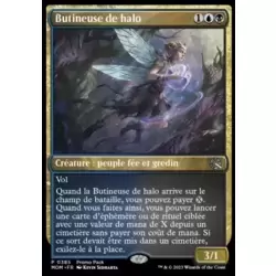 Butineuse de halo