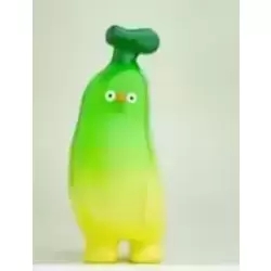 Catus Boo