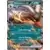 [COPY] Houndoom EX