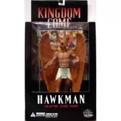 Kingdom Come - Hawkman