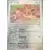 Flammes Obsidiennes - OBFFR - [COPY] Eevee Reverse