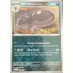 Terraiste de Paldea Reverse