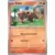 Paldea Evolved - PALEN - Litleo
