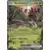 Paldea Evolved - PALEN - Wo-Chien EX