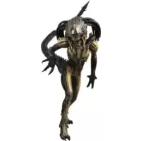 Alien VS. Predator - Predalien (Alien Hybrid)
