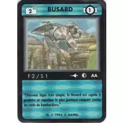 Busard