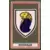 Ecusson - FC Sochaux-Montbelliard