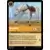 The First Chapter - Maximus - Palace Horse