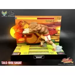 Street Fighter T.N.C.- 10SE Sagat (BGM Edition)