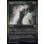 INNISTRAD Double Feature - Puissance des traditions
