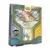 League Battle - Reshiram & Charizard-GX