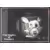Mangle in vent GH