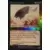 Pangolin rôdeur Foil