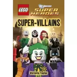 DC Super Heroes Super Villains