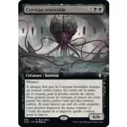 Cerveau vénérable
