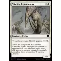 Slivoïde ligamenteux