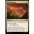 Commander MASTERS - Terres sauvages
