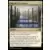 Commander MASTERS - Voie de l\'Ascendance