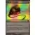 Oeil de l'Ur-Golem Foil