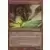 Ravnica : la cité des guildes - Coupebrèche barbare Foil