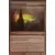 Pointe sismique Foil