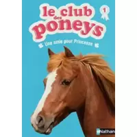 Le club des poneys, Tome 1 : Une amie pour Princesse