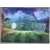 Limited Run Cards Série 1 - Golf Story